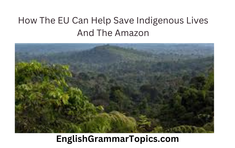 How-The-EU-Can-Help-Save-Indigenous-Lives-And-The-Amazon